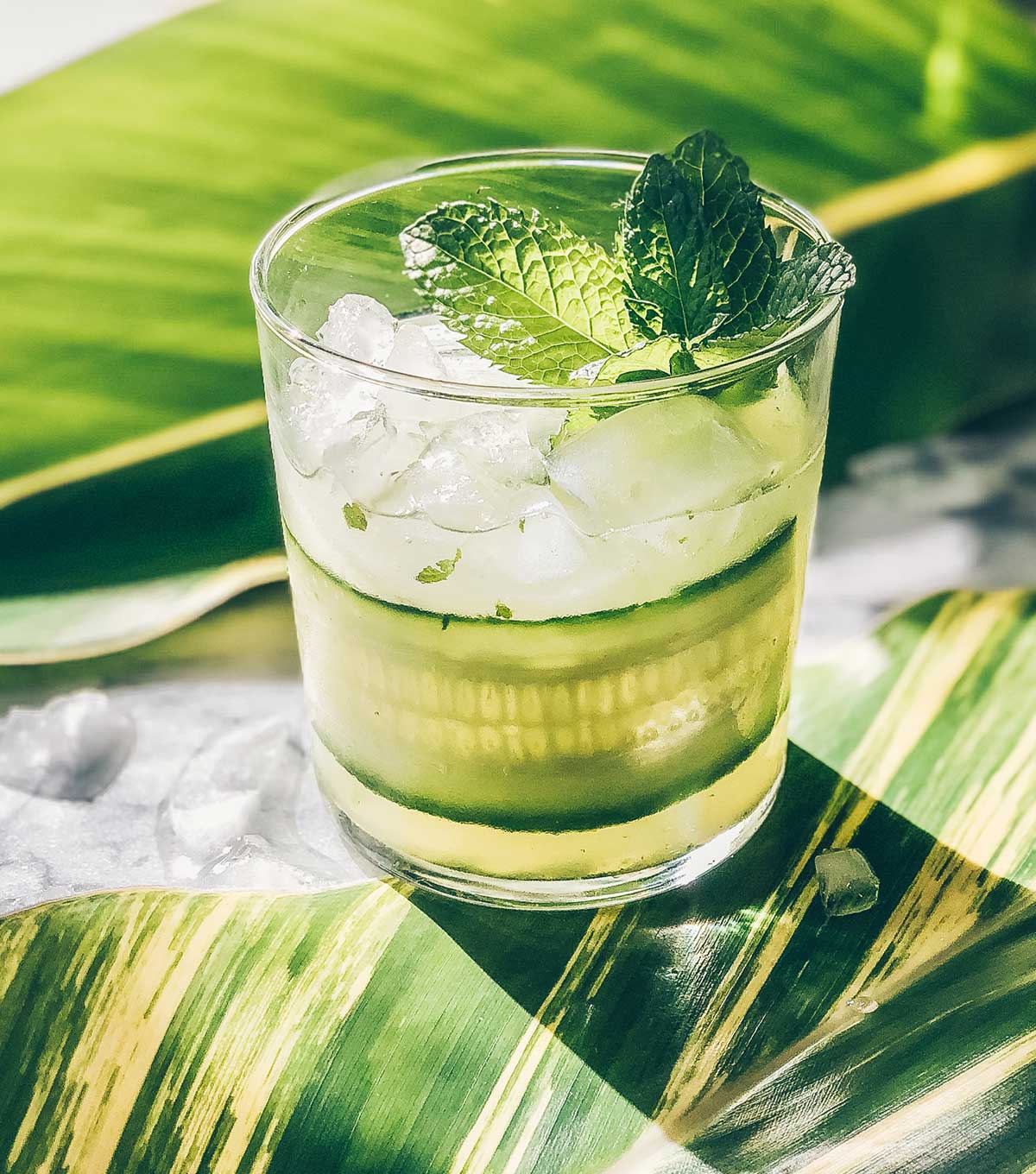A drink glass filled with a Cucumber Mint Gimlet, ice, a sliver of cucumber, and a sprig of mint.