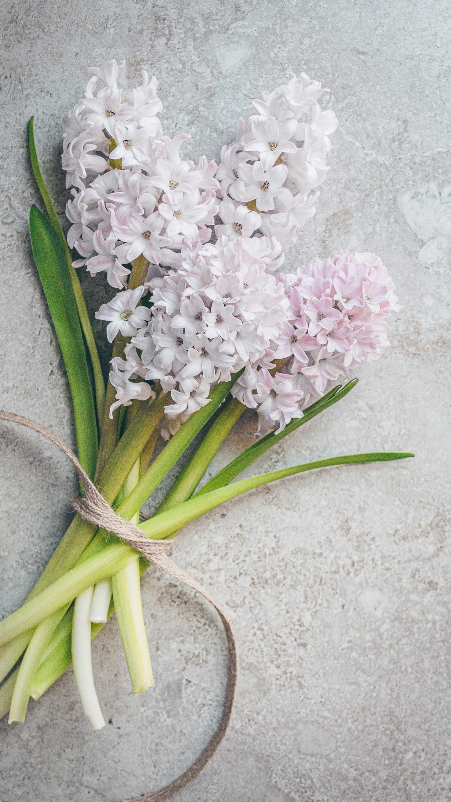 A hand tied bouquet of pale pink hyacinths.