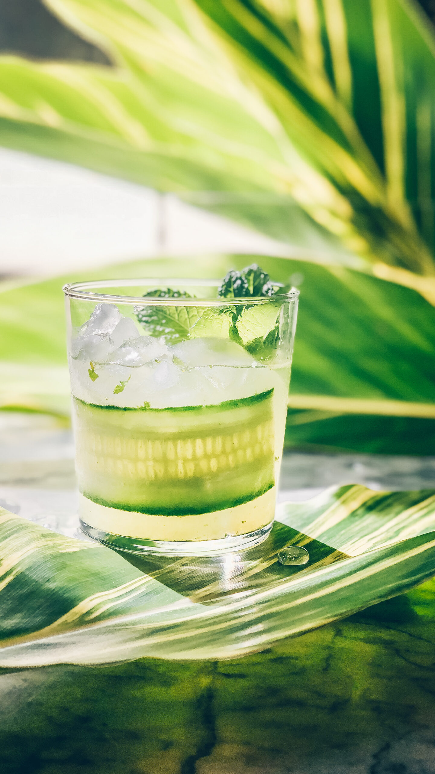A Cucumber Mint Gimlet cocktail in a rocks glass garnished with a thin strip of cucumber and a sprig of mint.