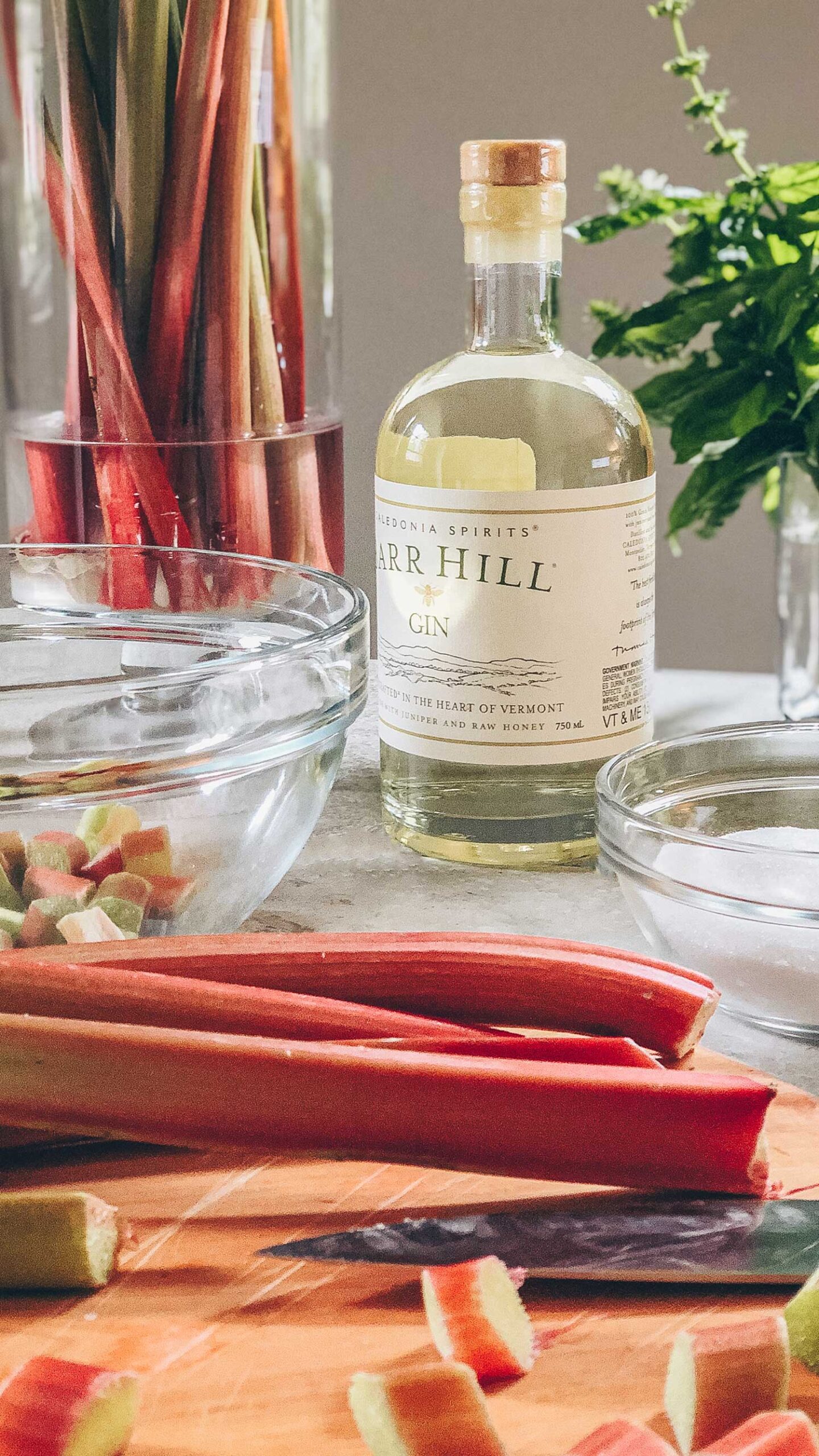 A bottle of Barr Hill Gin on a table with recipe ingredients to make Rhubarb Gin: fresh, rhubarb, sugar, and gin.