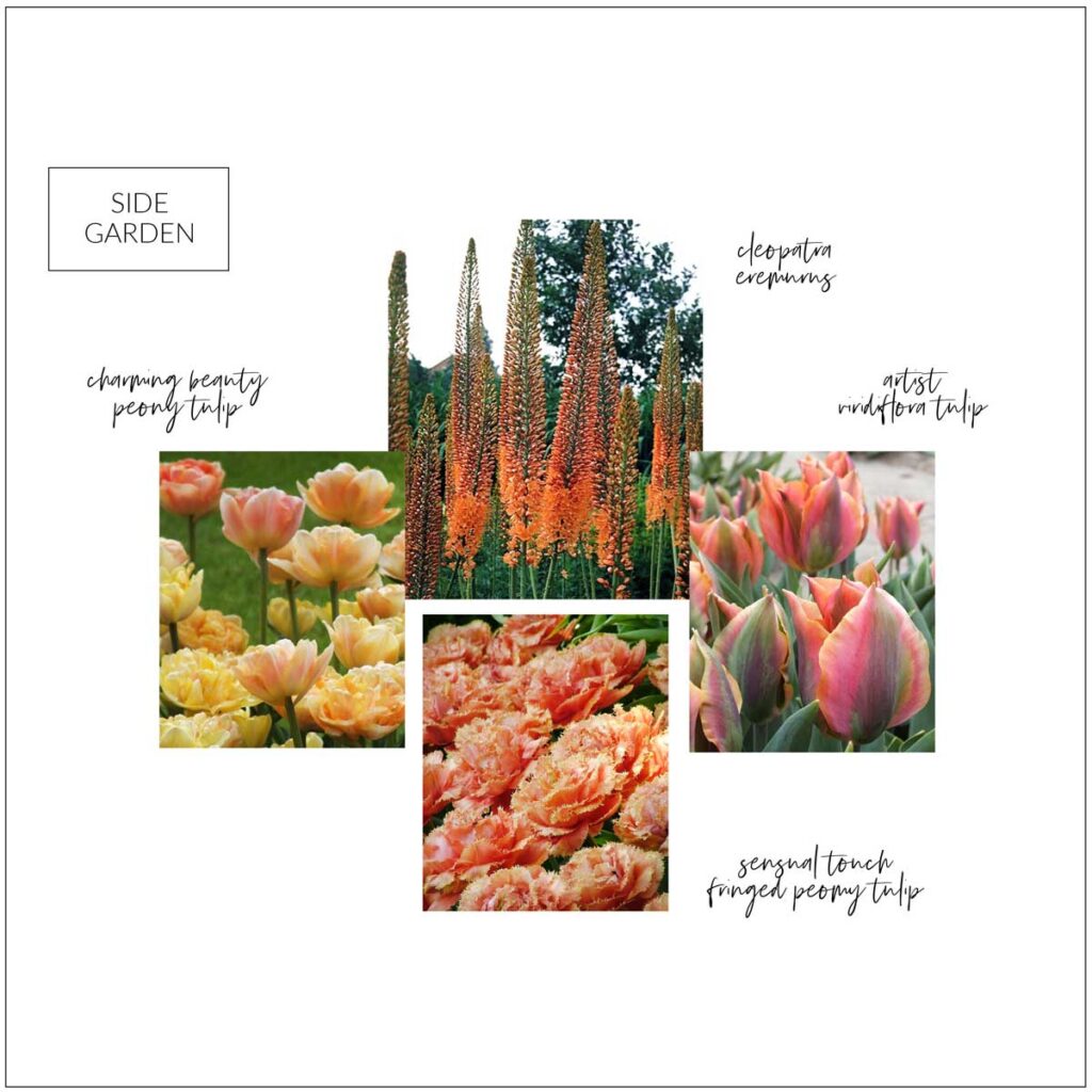 This is my moodboard for my new fall planted bulbs for my side garden bed this past season.