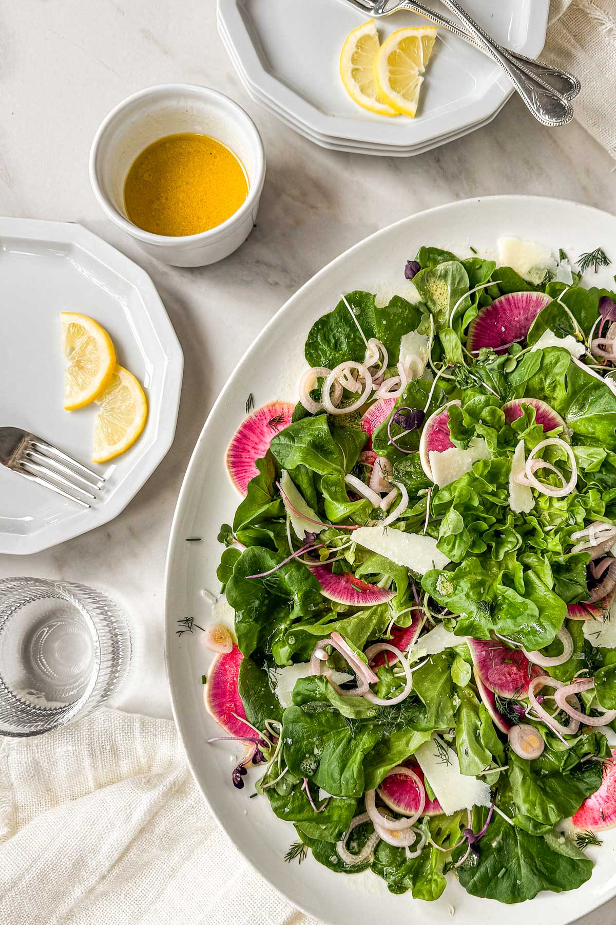 Early spring greens salad with butter lettuce, watermelon radishes, shaved parmesan, and pickled shallots on a white plate