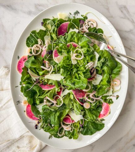 Early spring greens salad with butter lettuce, watermelon radishes, shaved parmesan, and pickled shallots on a white plate