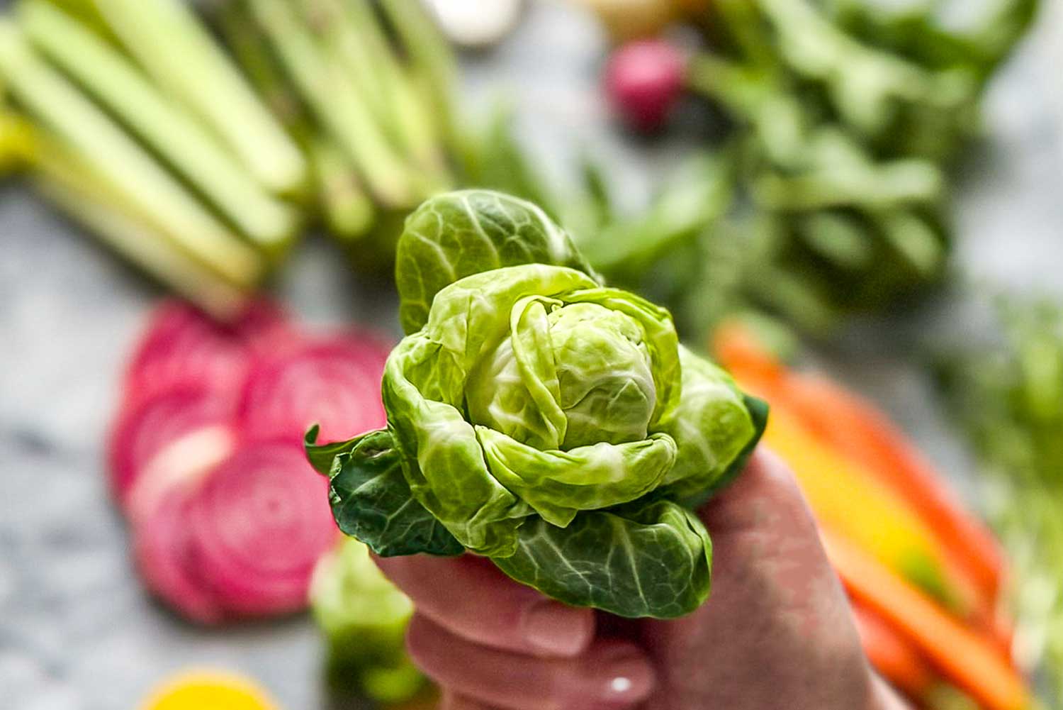 Fresh Brussels sprout from a spring vegetable crudite platter