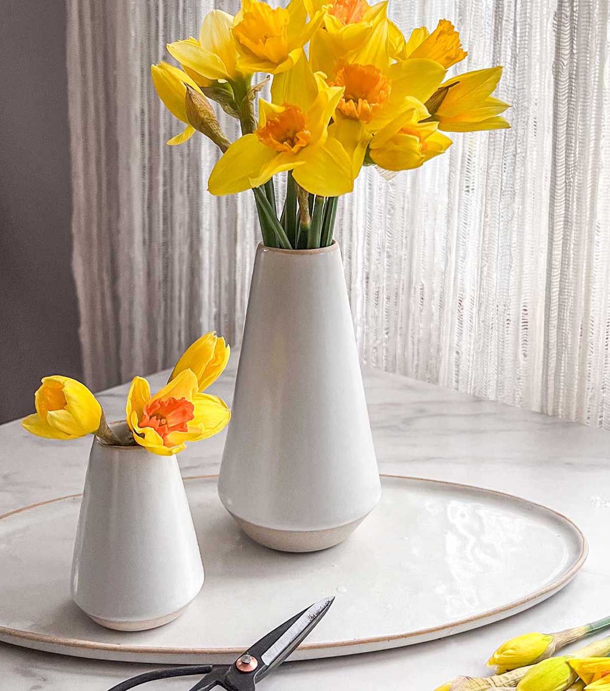 Yellow daffodils arranged in white ceramic vases on a marble table beside vintage flower snips.